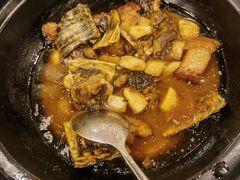 -永記粤菜·五指毛桃花雕鸡煲(九亭店)
