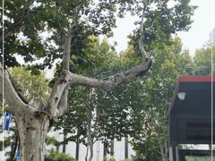 -江苏省美术馆(长江路新馆)