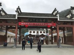 -新安江山水画廊风景区