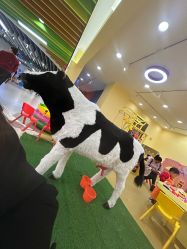 -贝贝乐儿童亲子游乐园(新塘大润发店)