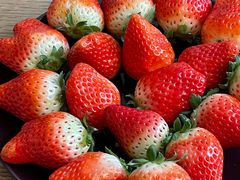 -乌江鱼杭帮菜(西湖店)