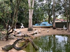 -费瑟代尔野生动物园