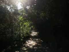 -北京鹫峰国家森林公园