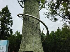 -黄海国家森林公园