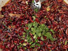 -院8里·少城记忆老川菜(宽窄巷子店)