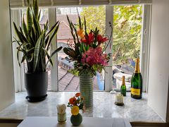 -蝶舍·MAISON PAPILLON