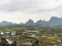 -会仙湿地