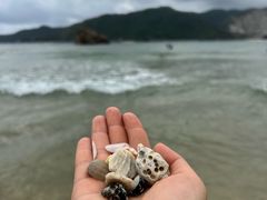 -后海村