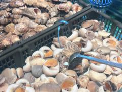 -九月海·海鲜自助(世纪东方店)