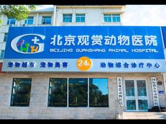 -北京观赏动物医院·24小时大型综合·猫专科·异宠专科