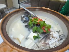 -全乐鱼馆·淳牌有机鱼直营店