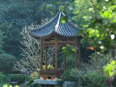 -云溪植物园