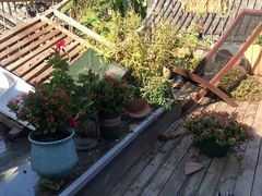 -至尚形象·化妆服饰搭配礼仪培训