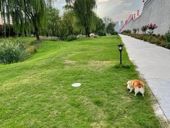 -洛阳市隋唐城遗址植物园