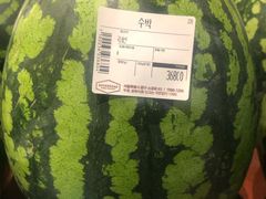 -新世界百货(明洞总店)