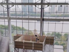 -上海当代艺术博物馆
