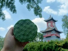 -四川大学(华西校区)