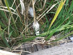 -成都市活水公园