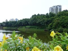 -深圳国际园林花卉博览园