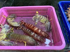 -拉威海鲜市场