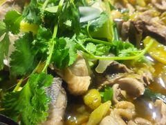 -陈三娃泡姜鸡(太白北路店)