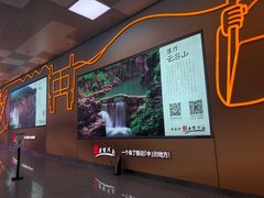 -郑州新郑国际机场