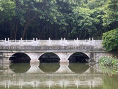 -顺峰山公园