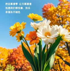 -东森自然美.INDIBA.美容SPA.皮肤管理