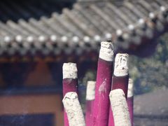 -铁山坪森林公园