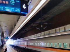 -文府路口(Taiwan High Speed Rail Zuoying Station)