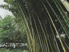 -水绘园