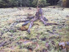 -硗碛藏寨·神木垒景区