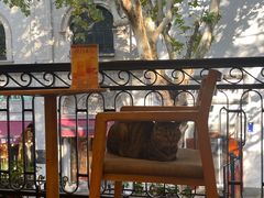 -猫的天空之城概念书店(杭州南宋御街店)