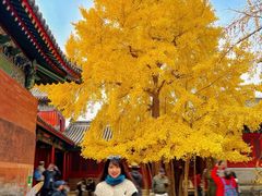 -承恩寺