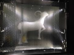 门面-新兴·金羊座·粤菜点心(乐峰店)