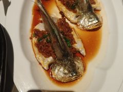 鸡油蒸仙子鱼-悦海堂(金融街购物中心店)