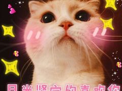 -天真蓝照相馆(龙华天虹购物中心店)