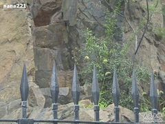 -上海市龙华烈士陵园