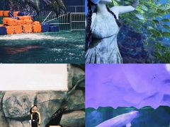 -威海华夏城景区