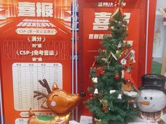 -童程童美·信息学竞赛·机器人编程·少儿编程(万寿路校区)