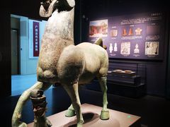 -广西壮族自治区博物馆