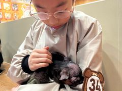 -和它·交个朋友·狗咖猫咖(爱琴海店)