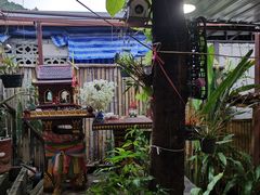 -Jungle Kitchen