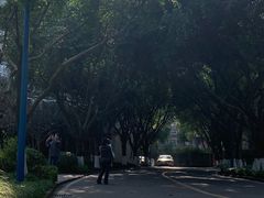 -西南政法大学(渝北校区)