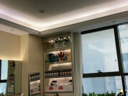 -碧莲盛·不剃发植发