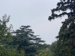 -国家植物园南园