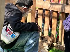 -鄂尔多斯野生动物园