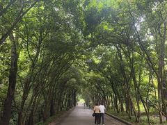-灵谷景区