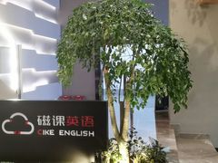 -磁课·成人英语·雅思培训(高新校区)