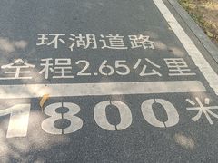 -海珠湖公园